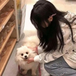 NG体育·(南宫)截图